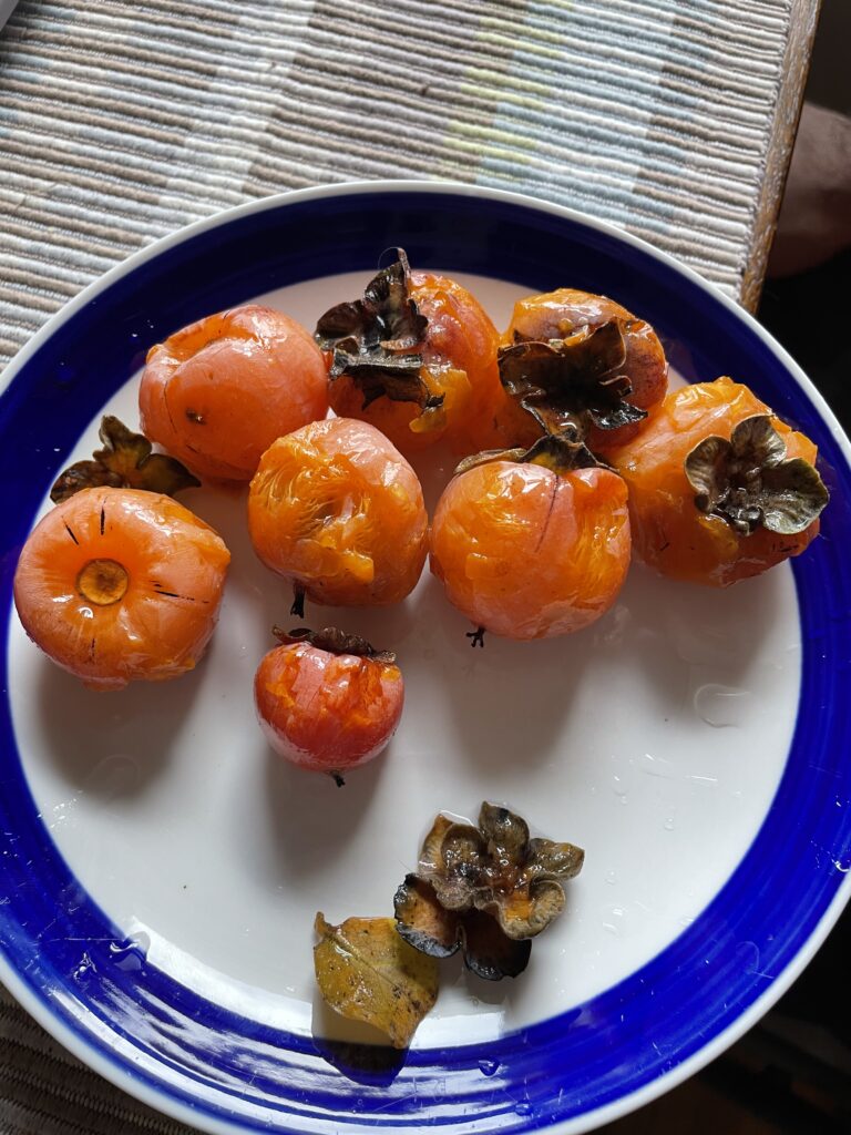American Persimmon